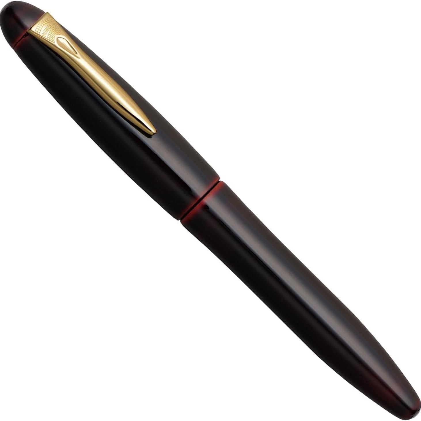 Platinum Izumo Akatame Fountain pen Platinum