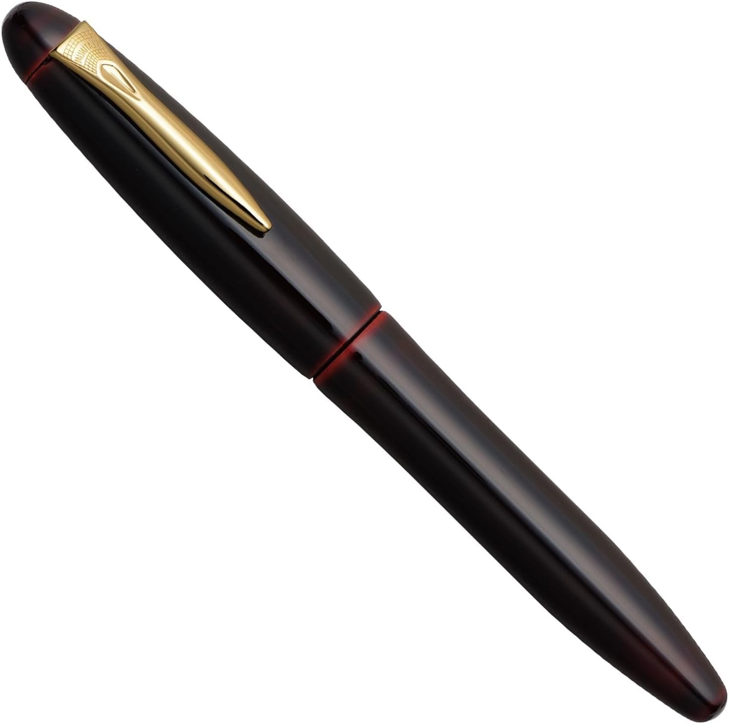 Platinum Izumo Akatame Fountain pen Platinum