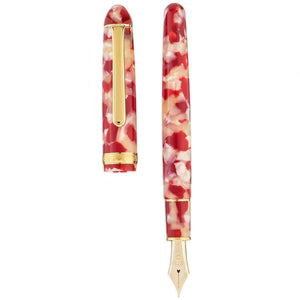 Platinum #3776 Century Koi Fountain Pen Platinum