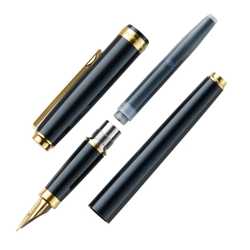 Platinum Biso Nebula Black GT Fountain pen Platinum